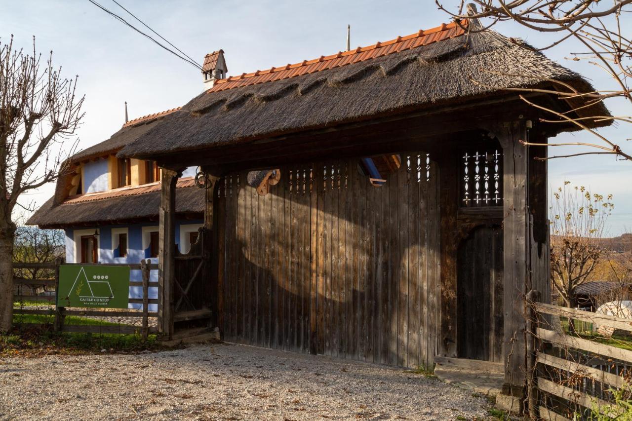 Casele Cu Stuf B&B Haus Ulrike Salicea Exterior photo