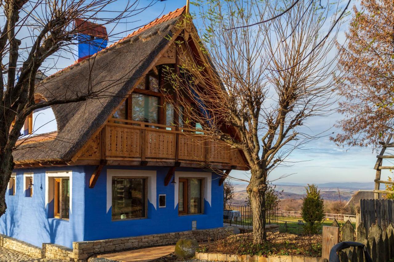 Casele Cu Stuf B&B Haus Ulrike Salicea Exterior photo