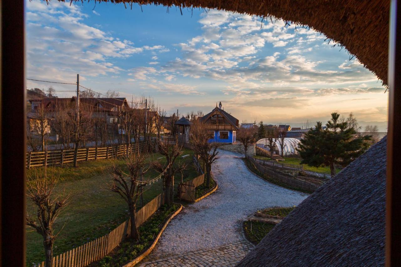 Casele Cu Stuf B&B Haus Ulrike Salicea Exterior photo