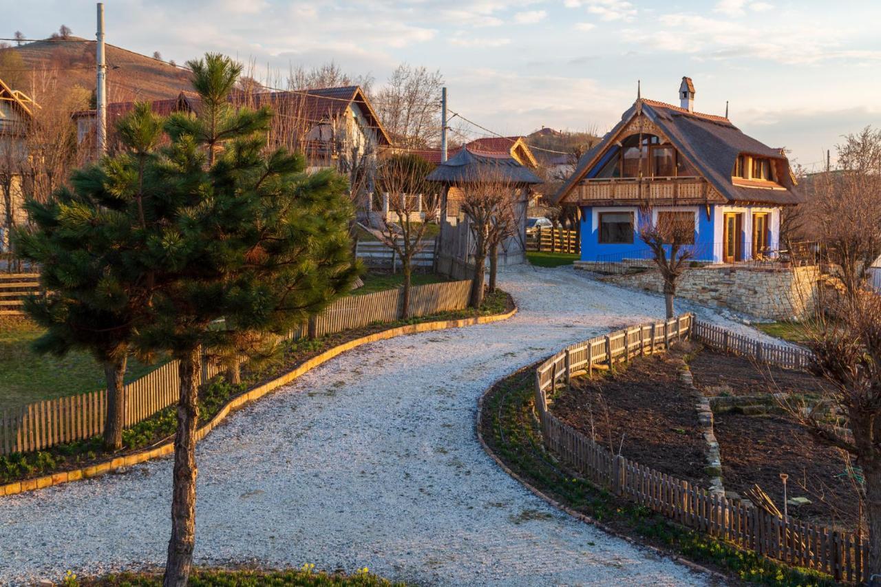 Casele Cu Stuf B&B Haus Ulrike Salicea Exterior photo