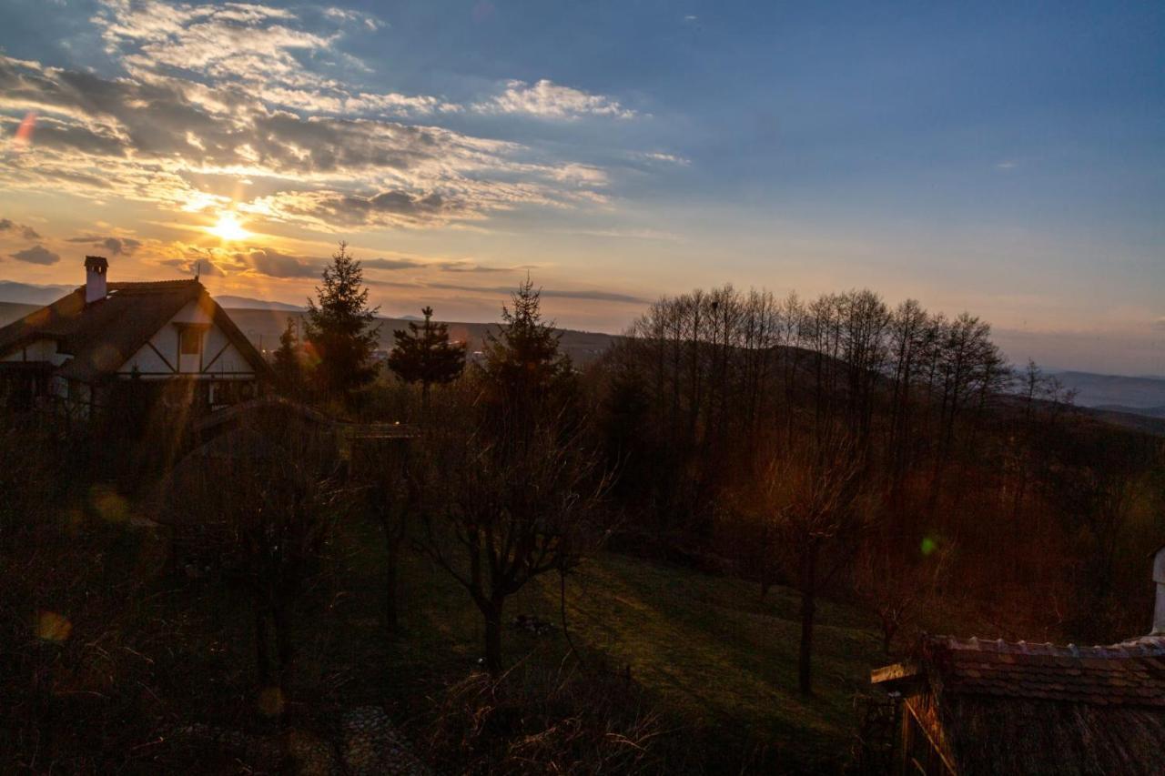 Casele Cu Stuf B&B Haus Ulrike Salicea Exterior photo