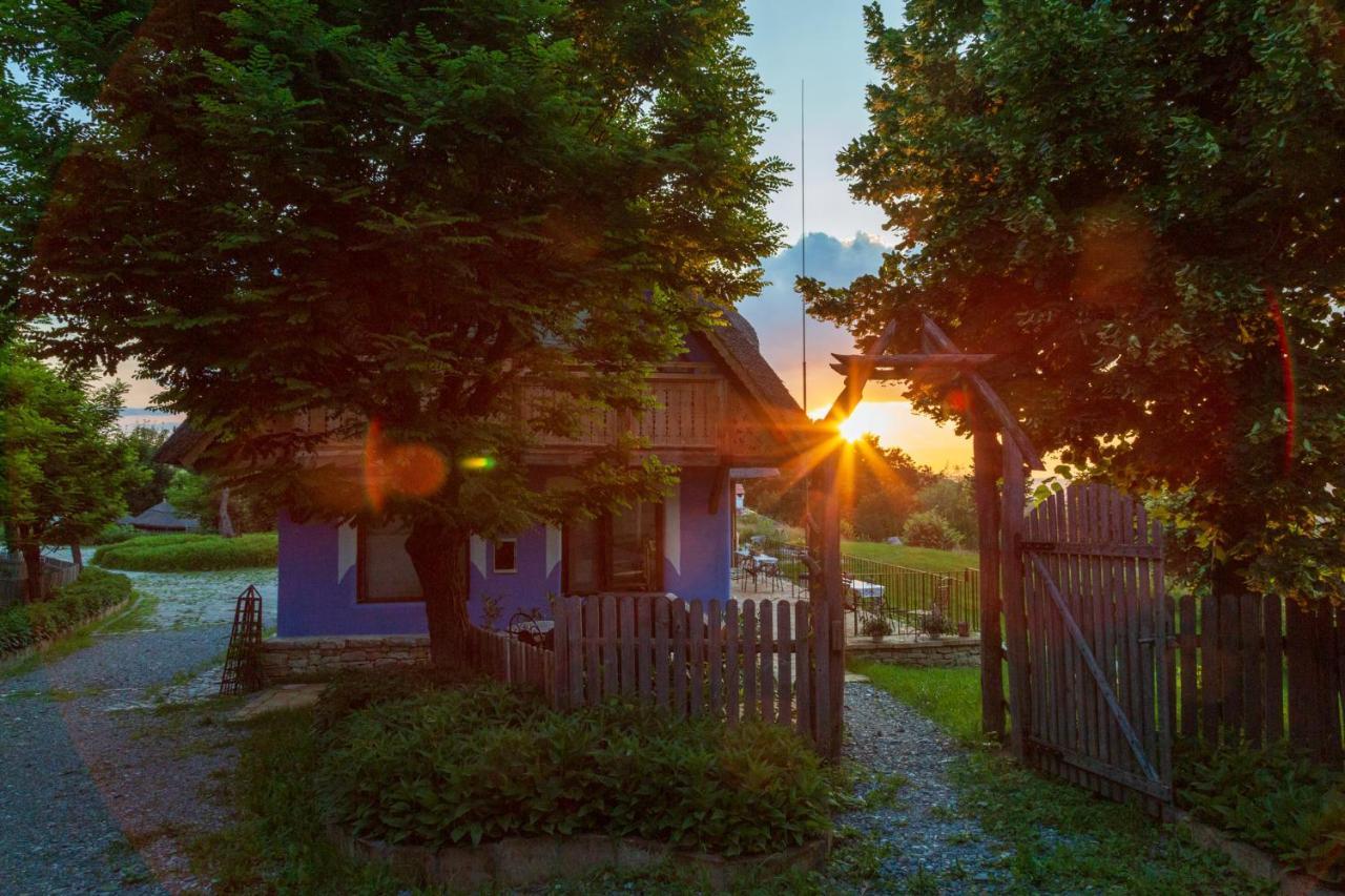 Casele Cu Stuf B&B Haus Ulrike Salicea Exterior photo